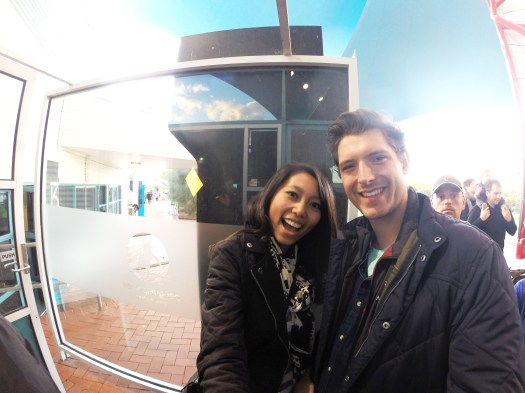 phillips island_penguins.jpg