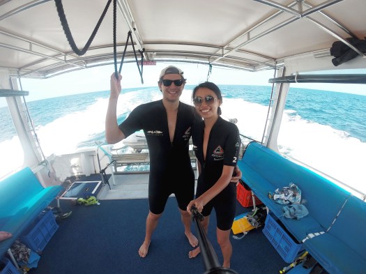 snorkeling great barrier reef.jpg